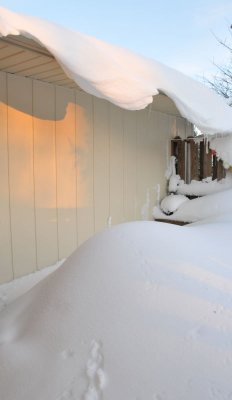 Lots of snow on our deck