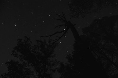 Stary night (90 second exposure)