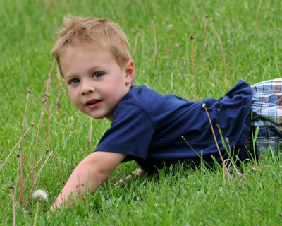 Rolling in the grass