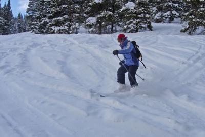 nice powder