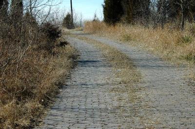 Abandoned brick roadway leading up the hill