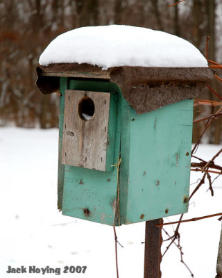 Snow Covered Birdhouse