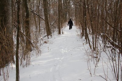 Canal Towpath