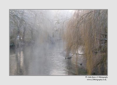 Colne Brook Uxbridge - 2009-12-23_090323_D2A3290.jpg