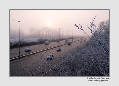 Dinton Pastures - 2009-12-23_085318_D2A3277.jpg