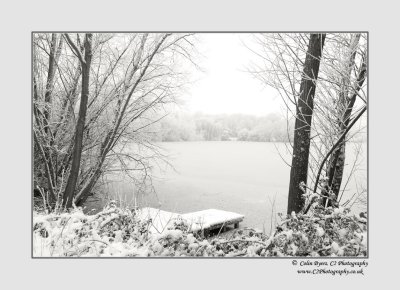 Dinton Pastures - 2009-12-23_122145_D2A3346-bw.jpg