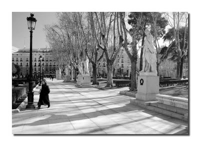 Avenue of statues in Plaza Oriente