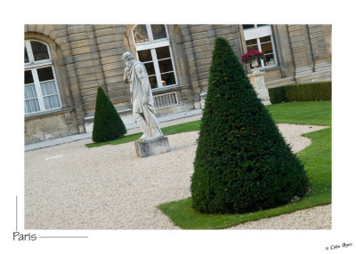 _D2A3404-gardens at the Palais du Luxembourg.jpg
