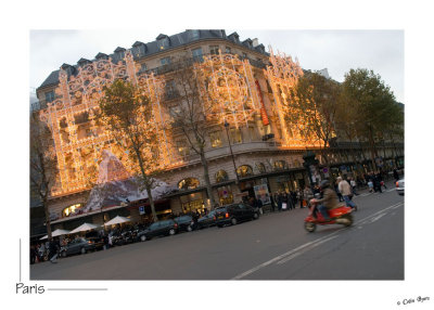 _D2A3535-Christmas at Galeries Lafayette.jpg