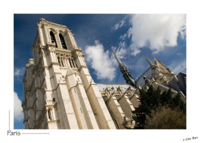 _D2A3646-Notre Dame de Paris.jpg