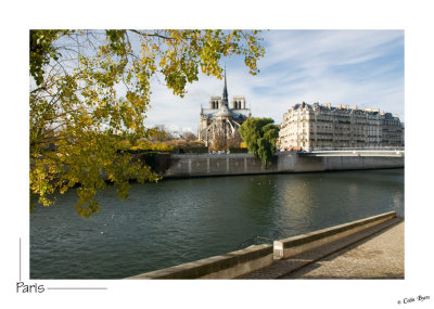 _D2A3651-Notre Dame.jpg