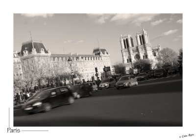 _D2A3393-Notre Dame de Paris across Place St Michel.jpg