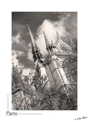 _D2A3647-Notre Dame de Paris.jpg