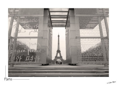 _D2A3799-Tour Eiffel.jpg