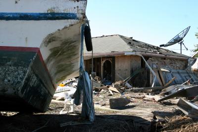 Katrina031.JPG