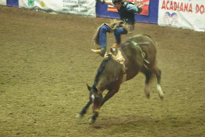 rodeo