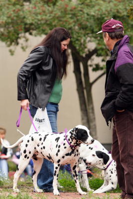 krewemutts002.JPG