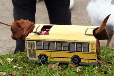 krewemutts006.JPG