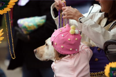 krewemutts033.JPG