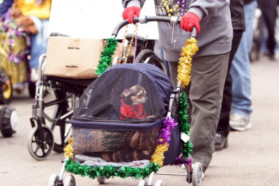 krewemutts037.JPG
