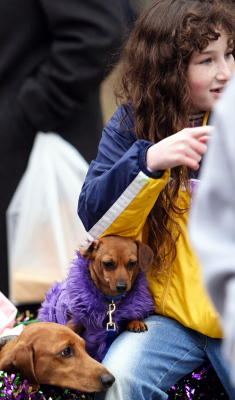 krewemutts039.JPG