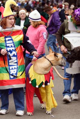 krewemutts044.JPG