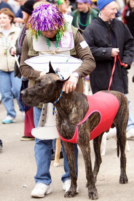 krewemutts045.JPG