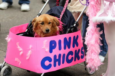 krewemutts049.JPG