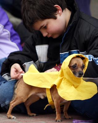 krewemutts070.JPG