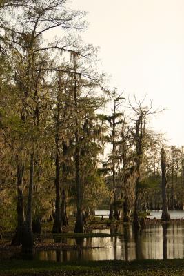 Lake Martin004.JPG
