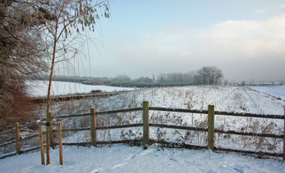 IMG_7029.JPG