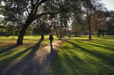 Pearson Park autumn001.jpg