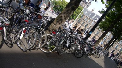 Holland bikes everywhere