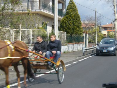 g3/20/553020/3/112596847.TtfC6RhR.jpg