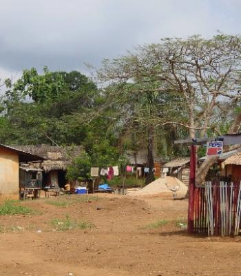 Landscape3.jpg