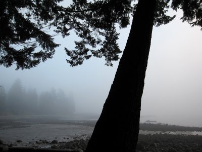IMG_2119seawall.jpg