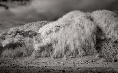 _MG_0178aramoana.jpg