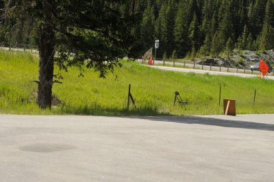 Rally-in-line.jpg