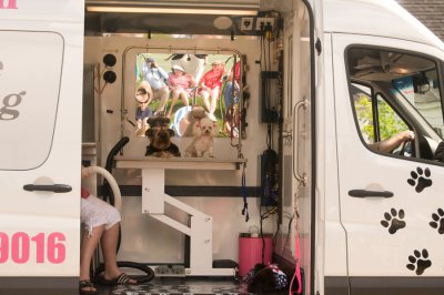 Mobile Pet groomer