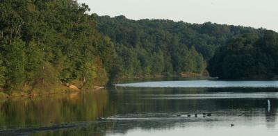 IMG_0178_1.jpg