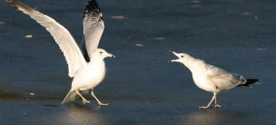 IMG_1537_1.jpg