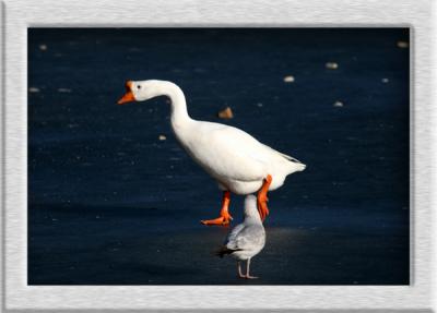 IMG_1492_2.jpg