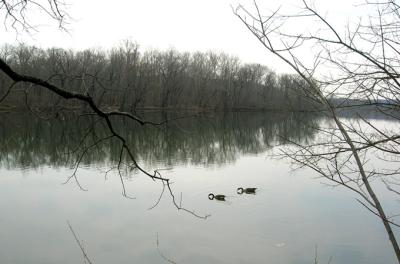 DSCN3224_01.jpg