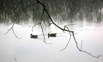 DSCN3225_01.jpg