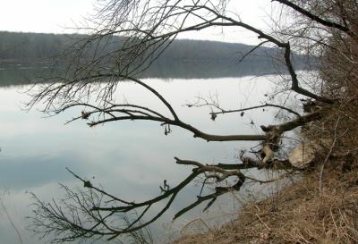 DSCN3206_01.jpg