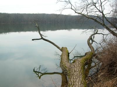 DSCN3209_01.jpg