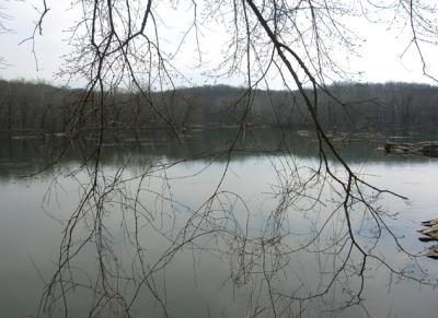 DSCN3196_01.jpg