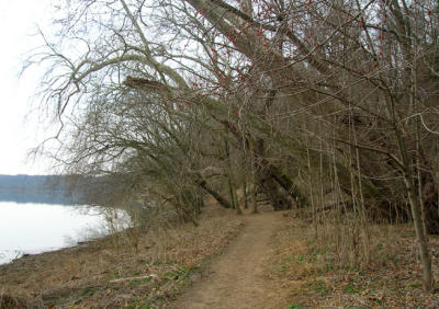 DSCN3218_01.jpg
