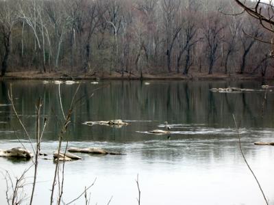 Trails in Riverbend Park VA