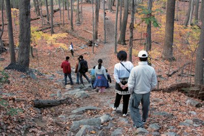 sugarloaf_mt